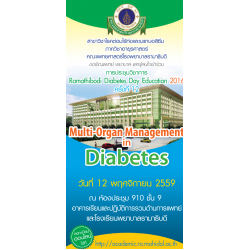 Ramathibodi Diabetes Day Education ครั้งที่ 12
