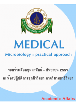 Medical Microbiology:  practical approach