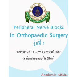Peripheral Nerve Blocks in Orthopaedic Surgery รุ่น 1