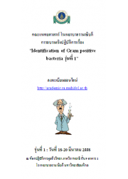 Identification of Gram positive bacteria รุ่นที่ 1