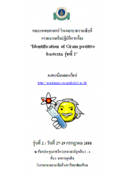 Identification of Gram positive bacteria รุ่นที่ 2