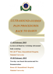 Ultrasound-guided Pain Procedures; Back to Basics