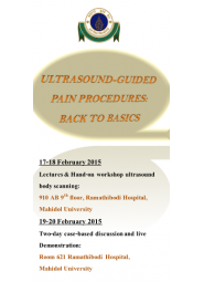 Ultrasound-guided Pain Procedures; Back to Basics