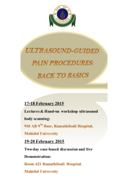 Ultrasound-guided Pain Procedures; Back to Basics